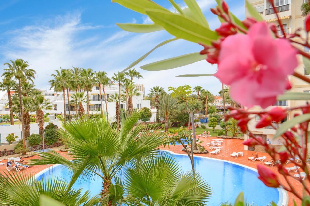 Studio Eldorado In Playa De Las Americas Near The Beach Arona  Exterior foto
